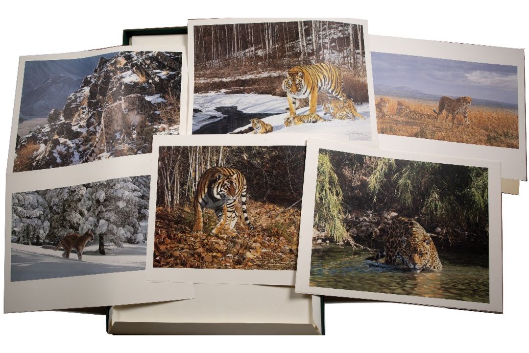 Simon Combes (1940-2004) 'Great Cats Adventure' folio, in original box with booklet - Image 1 of 4