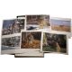 Simon Combes (1940-2004) 'Great Cats Adventure' folio, in original box with booklet - Image 1 of 4