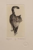 Gianni Raffaelli (b.1952) 'Study of a cat' limited edition etching, numbered 49/150, signed in
