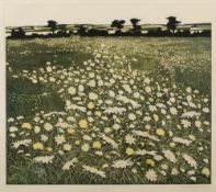 Phil Greenwood (b.1943) 'Moonpennies' etching and aquatint, artists proof, signed and dated 1975