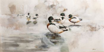 Ken Turner (b.1926) 'Shelducks on a winter pond' oil on board, signed lower right, 61cm x 120cm