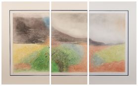 Donald Wilkinson (b.1937) 'Below the square' triptych, etching and aquatint, signed and numbered