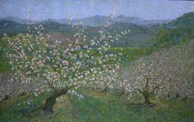 Valerie Douglas (Contemporary) 'Bramley blossom' oil on canvas, signed and titled to the reverse,