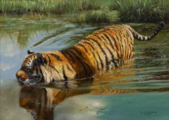 Pip McGarry (b.1955) 'Tiger in water' oil on canvas, signed and dated 2007 lower right, 24.5cm x