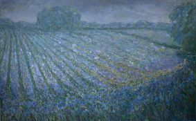 Valerie Douglas (Contemporary) 'Untitled' oil on canvas, signed to the reverse, 153cm x 244cm