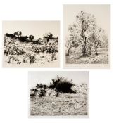 Walid Abu Shakra (b.1946) 'View from Eian-Sarrar No 1' etching, numbered 11/65, signed and dated
