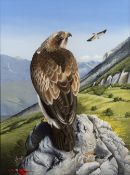 Trevor Boyer (b.1948) 'Booted eagle' watercolour, signed and dated 1980 lower right, 42 x 31cm