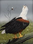 Trevor Boyer (b.1948) 'African Fish Eagle'' watercolour, signed and dated 1981 lower right, 42 x