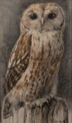 James Renny (b.1946) 'Tawny owl' watercolour and pen and ink, signed and dated, 1982 lower right,