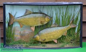 J Cooper & Sons 28 Radnor Street London pair of Preserved Roach - mounted in a glass bow fronted