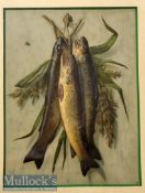 Period Embossed Trout Fishing Coloured Print – 3x embossed hanging brown trout – days catch –