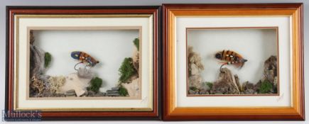 2 Eric Sayers of Preston Framed Salmon Flies both in 3d frames with scenic decorations, frames