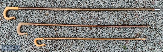 3 Shepherds Crooks longest 147cm