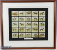 Horse Racing – Winners on the Turf of 1925 Cigarette Cards a complete set of 25, framed measures