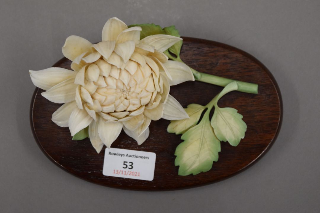 A late 19th century Japanese carved and stained ivory model of a chrysanthemum, - Image 3 of 3