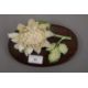 A late 19th century Japanese carved and stained ivory model of a chrysanthemum, - Image 3 of 3
