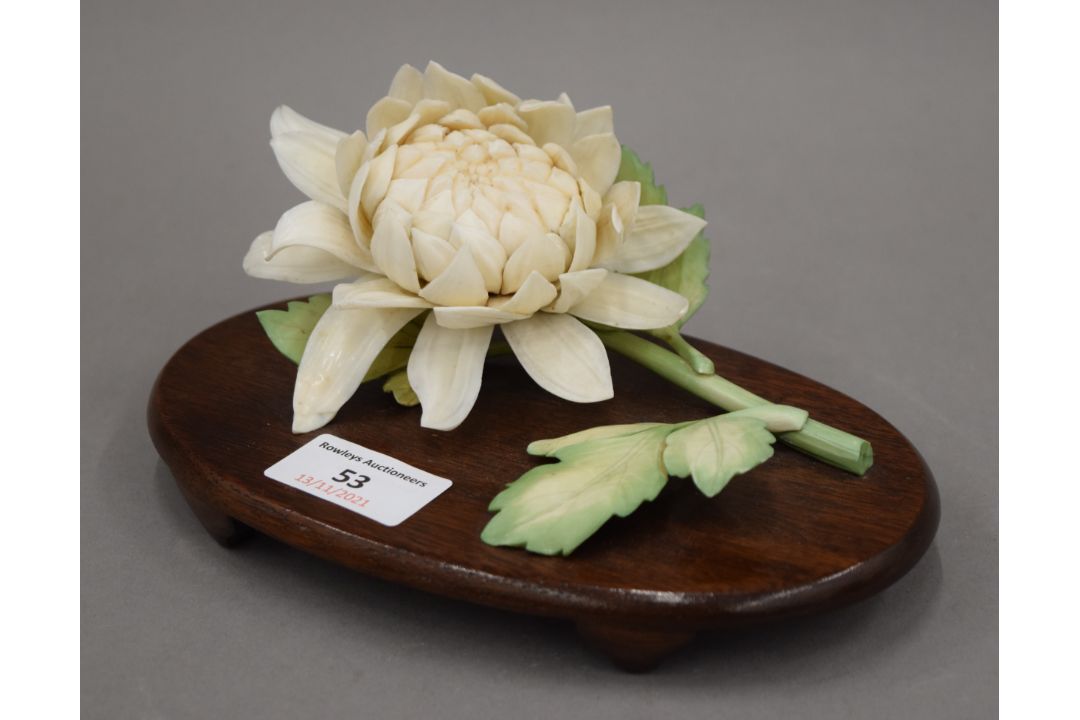 A late 19th century Japanese carved and stained ivory model of a chrysanthemum, - Image 2 of 3