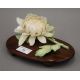 A late 19th century Japanese carved and stained ivory model of a chrysanthemum, - Image 2 of 3