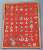 Seventy British Army cap badges including the Buffs, Suffolk Regiment, Royal Irish Regiment,