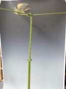 Vintage Gat rotating air rifle or cork pistol gallery with three lithographed card birds on rotating