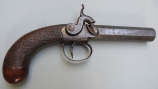 Reilly percussion hammer action pocket pistol with engraved lock, stylised dolphin hammer, trigger