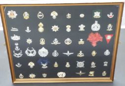 Forty-nine British Army cap badges including Royal Scots, Anglia Regiment, Highland Light