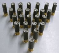 Twenty-five Remington Sportsman hi-speed steel 10 bore shotgun cartridges, in original box.