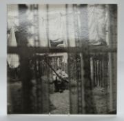 Paul McCartney - Chaos and Creation In The Backyard (0094633795815) record, cover, inner and four