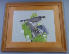 Watercolour of a Peregrine Falcon with starling amongst bindweed, signed H Tomblin 74, 37 x 48cm