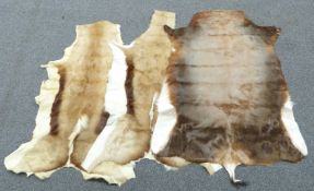 Three antelope hide rugs with Cape Town impressed marks verso, longest 106cm