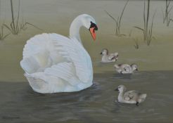 Michael Oxenham oil on canvas swan with cygnets, signed lower left, 24 x 34cm