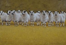 Patrick Oxenham (1922-1996) oil on canvas flock of Beulah Speckled Faced sheep, signed lower