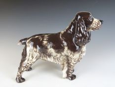 Nymphenburg large model of a cocker spaniel dog, with original label 'Invader of Ware', H20cm