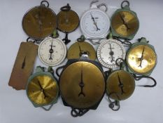 Twelve Salter spring balances including blood example and one with French writing to dial