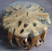A large natural polished wood root coffee table with glass top, probably teak or similar, diameter
