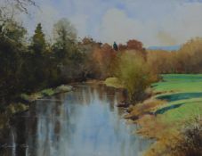 Richard Thorn (b1952) watercolour landscape 'River Mole', signed lower left 34 x 43cm, in gilt frame