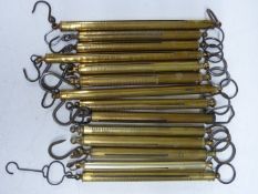 Fourteen Salter spring balances including Newtons, Troy, Grammes and Lb examples, one with Testut