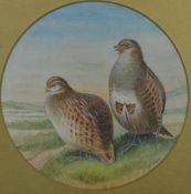 George Parkin watercolour of a pair of grey partridge, diameter 19.5cm