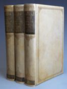 The Stones of Venice, The Foundations; The Sea-Stories; The Fall by John Ruskin with illustrations
