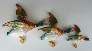 Three Beswick duck wall plaques, largest 25cm.
