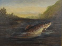 A Roland Knight (British, active 1879-1921) oil on board brown trout taking a dry fly, signed