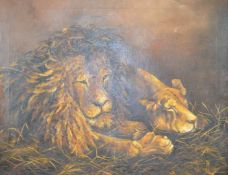 M H Williams oil on canvas lion and lioness, signed and dated 1913 lower left, 65 x 84cm