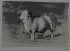 Henry Moore (1898-1986) signed limited edition (XV/XV) etching of a sheep, 22 x 30cm, in oak frame