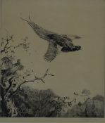 Winifred Austen (1876-1964) signed etching of a pheasant in flight together with an etching of a