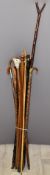 Group of walking sticks, several with hallmarked silver mounts, some with deer horn handles etc