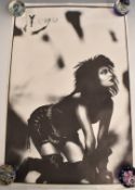 Siouxsie and the Banshees Hyena album poster, 1984, 76 x 52cm