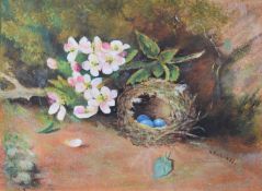 W Burgess watercolour bird's nest and blossom, signed lower right, 21.5 x 29.5cm, in gilt frame