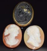 Victorian carved tortoiseshell cameo with gold inlay and border, 2.2 x 3cm and two c1900 cameos