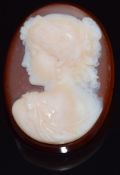 A c1900 carved agate cameo depicting a classical woman, 3.5 x 2.5cm