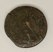 Ptolemy III Euergetes copper bronze coin 246-221 BC. Obverse: horned Zeus. Reverse: eagle standing